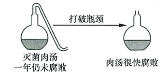 自然发生论的否定和疫苗研制