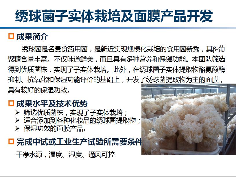 绣球菌子实体栽培及面膜产品开发