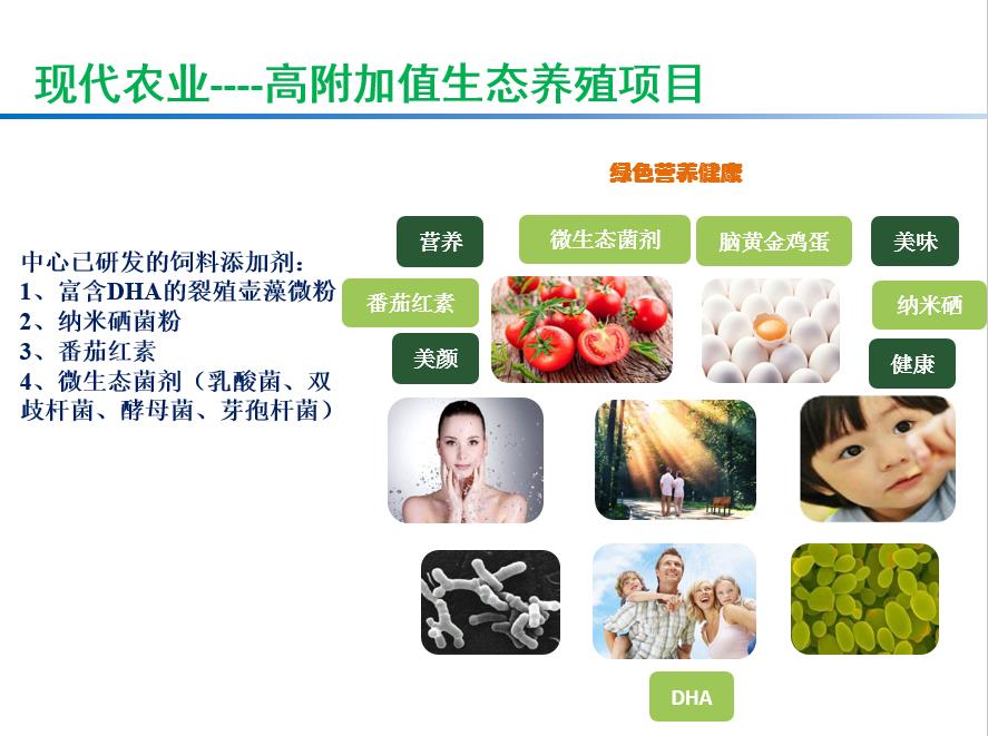 高附加值生态养殖项目