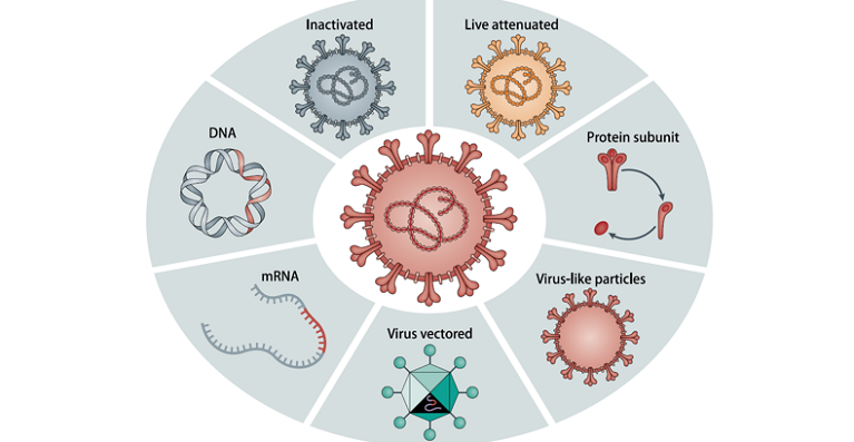 微生物所高福院士和戴连攀研究员受邀在Nature Reviews Immunology发表新冠疫苗靶点综述论文