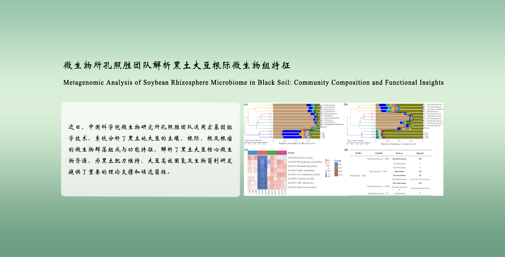 微生物所孔照胜团队解析黑土大豆根际微生物组特征