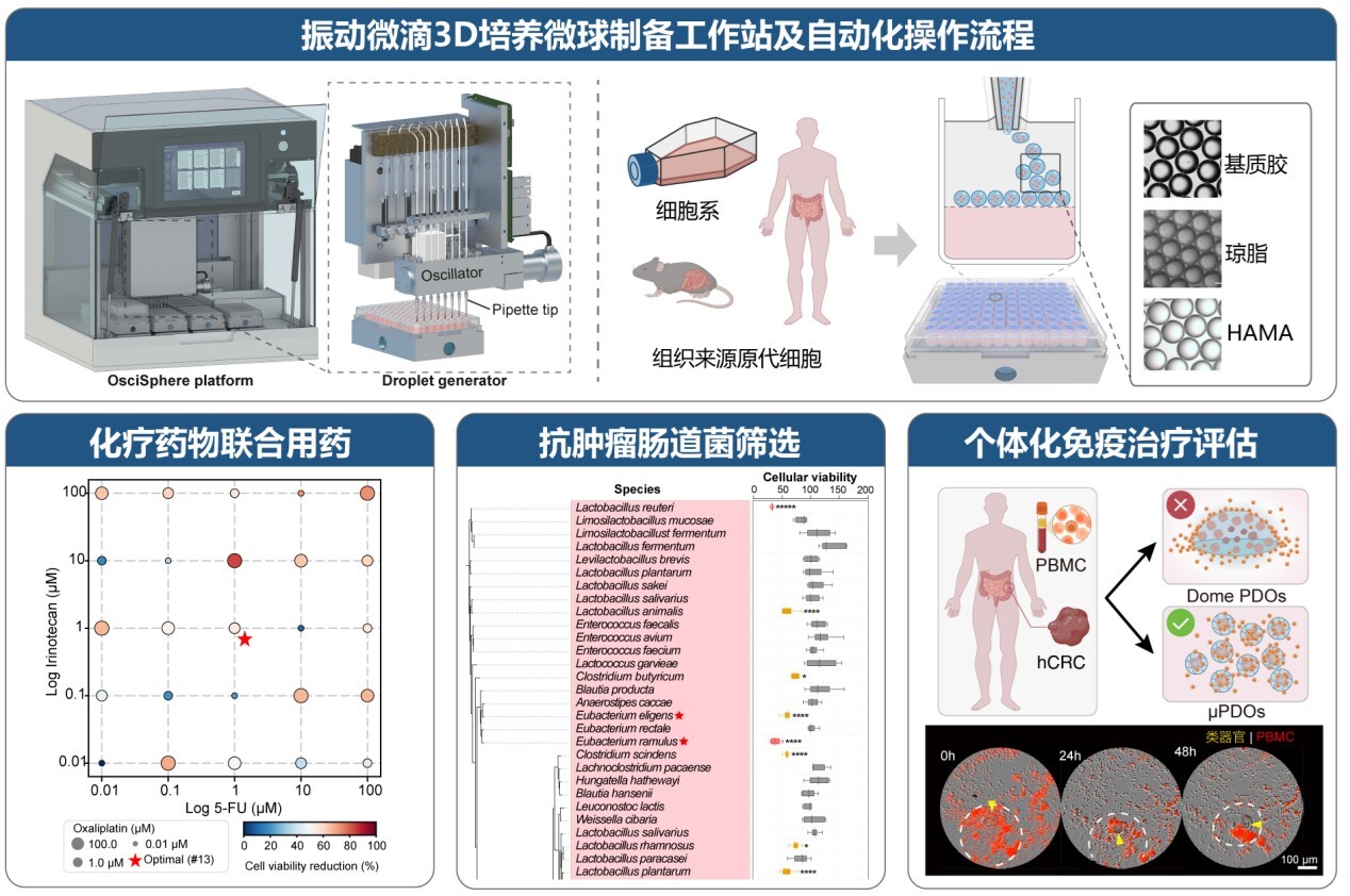 微生物所杜文斌团队拓展振动微滴技术应用场景