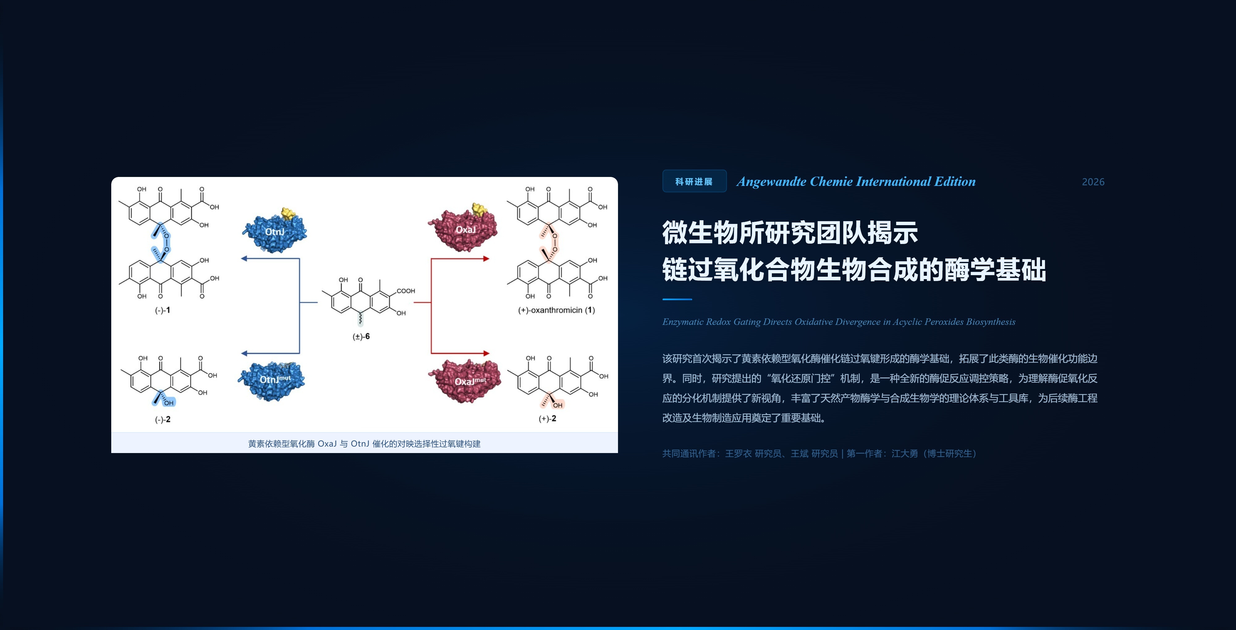 微生物所研究团队揭示链过氧化合物生物合成的酶学基础